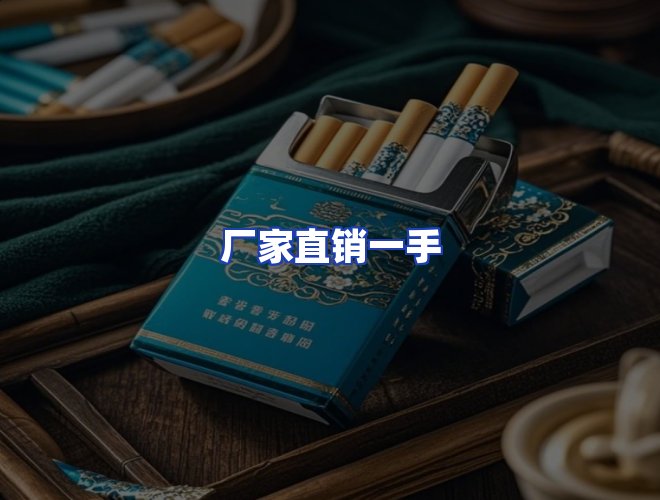 专业团队